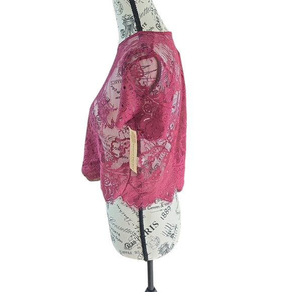 Lizard Thicket Burgundy Lace Crop Top - Picture 2 of 6